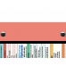 WhiteCoat Clipboard® Trifold - Coral Physical Therapy Edition